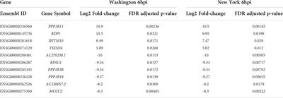 Comparison of Intracellular Transcriptional Response of NHBE Cells to Infection with SARS-CoV-2 Washington and New York Strains